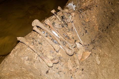Cursed Treasures: Witch Appendages Discovered in Hidden Cavity